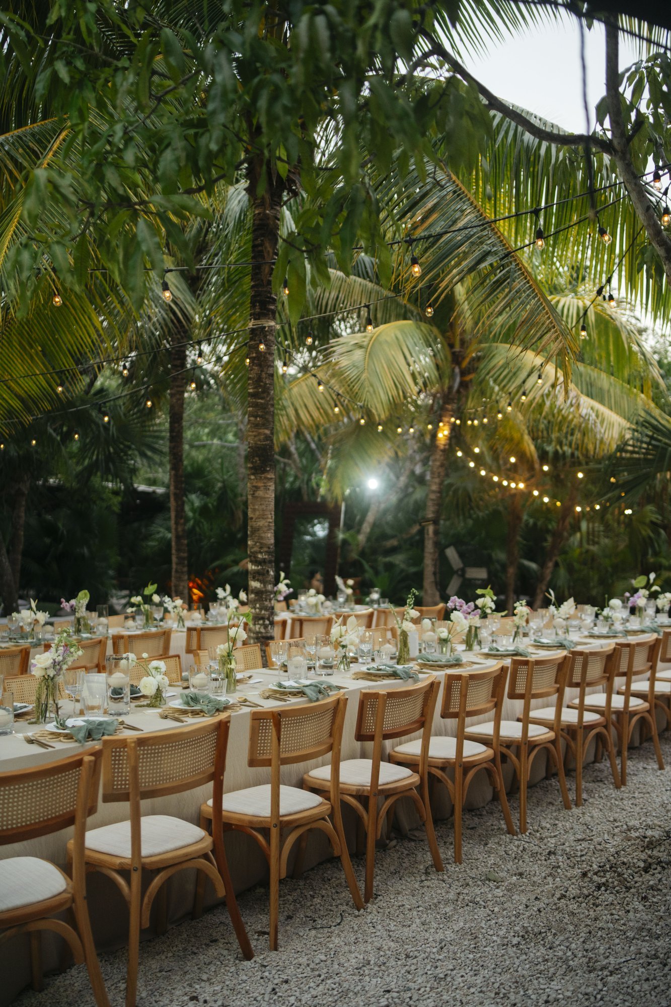 Long-table dinner under the palms