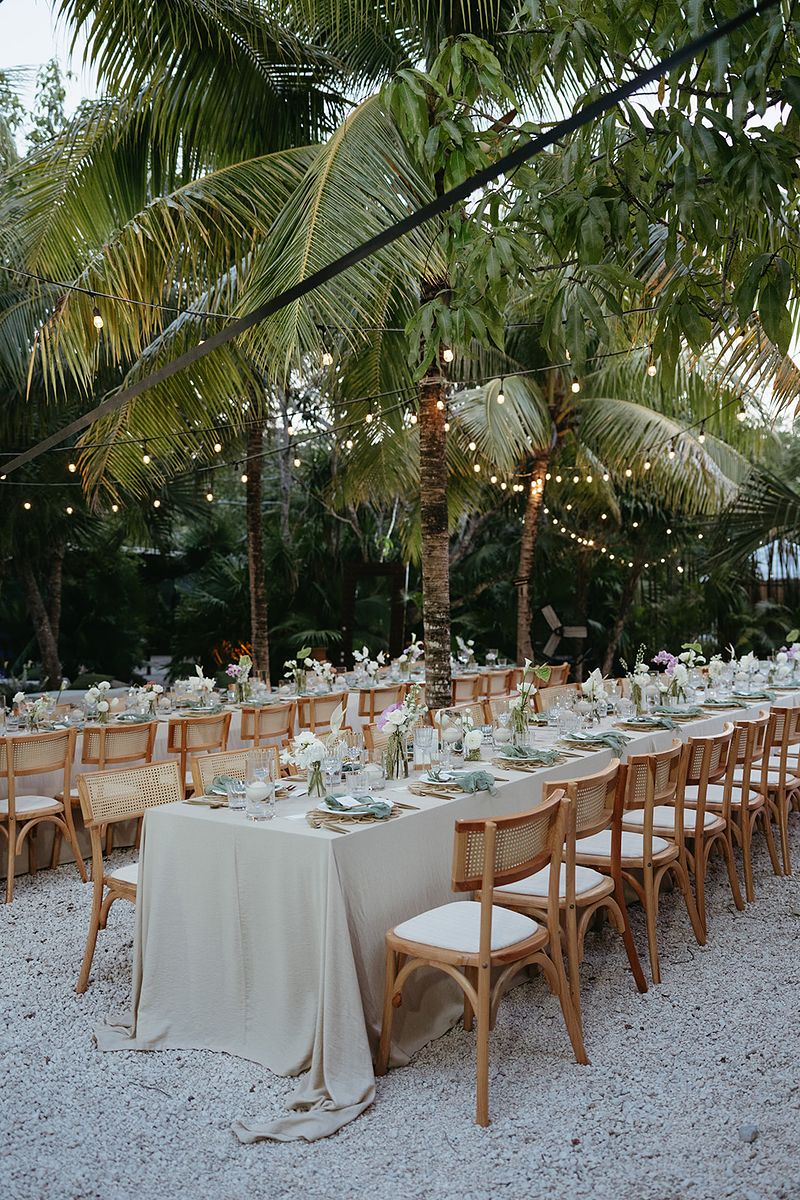 Sapir & Milan · reception design