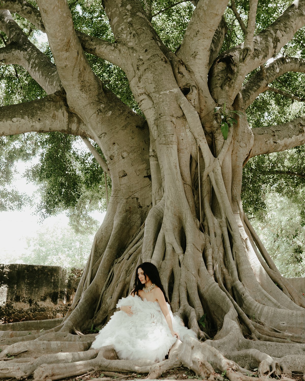 Yucatán Haciendas wedding celebration